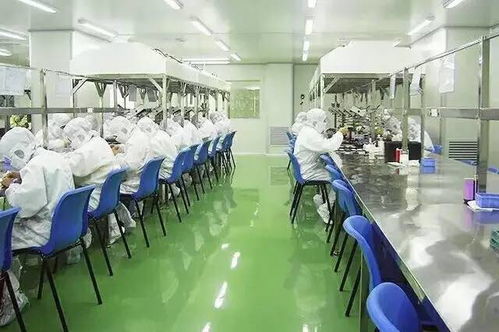 科學搭配，自然養顏 保健食品助力女性青春常駐