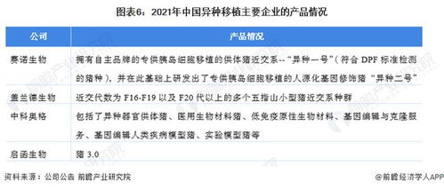 洞察2022 中國異種移植行業競爭格局深度解析——研發對比、投融資與業務布局盤點