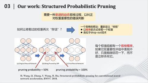 深度神經網絡壓縮與加速技術的細胞啟發式創新與應用